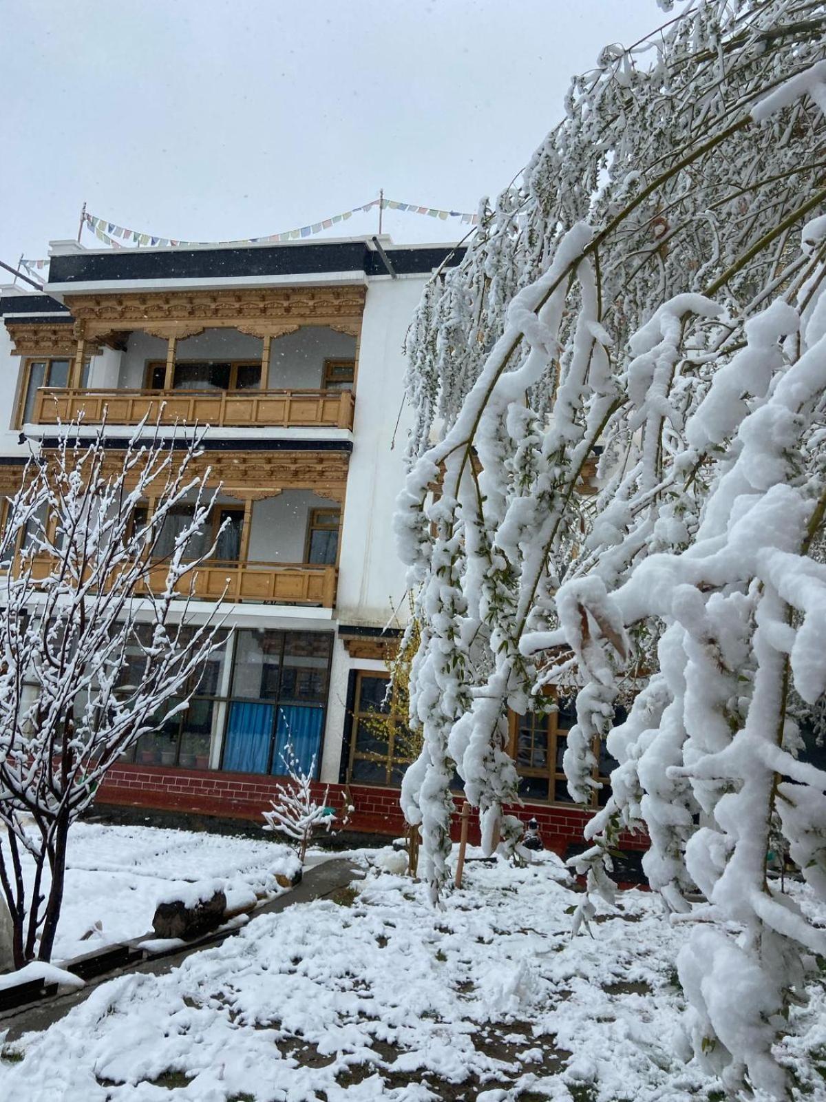 Rock Castle Residency Otel Leh Dış mekan fotoğraf